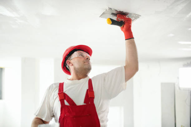 Best Drywall Sanding and Smoothing  in Perkasie, PA